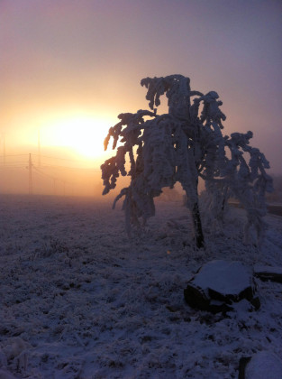 winter2