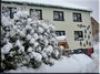 winter509